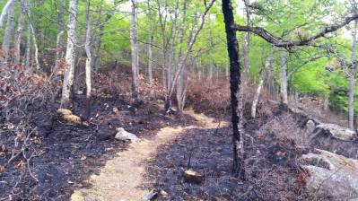 10254988_660068467471199_1992459098190257264_n