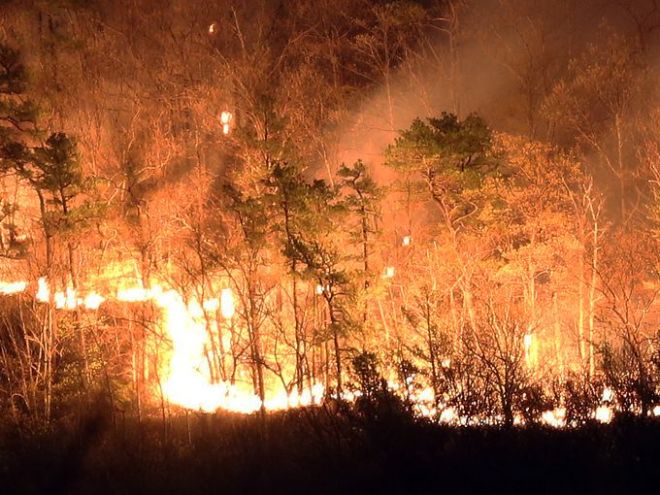 2,000 acre forest fire in Shawangunk Ridge and Roosa Gap State Forests.  Credit:  lohud