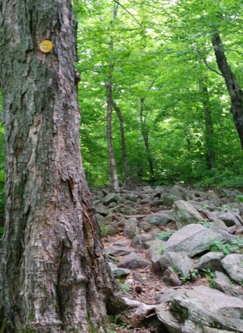 Trail to Giant's Ledge