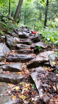 McKenley Hollow Staircase of Boulders