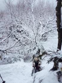 aaron climbing slide