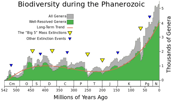 Phanerozoic_Biodiversity.svg