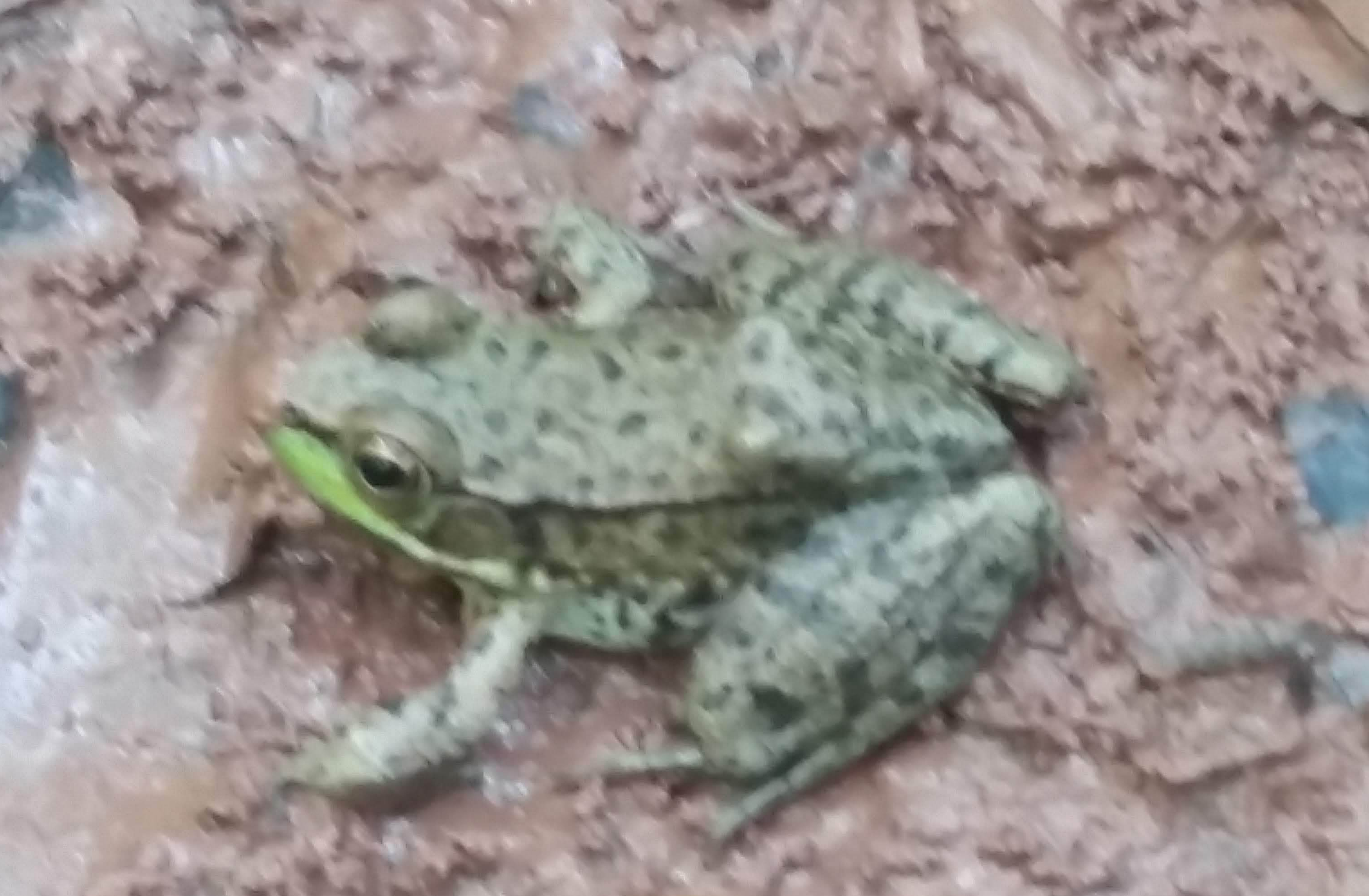 20180701_141206