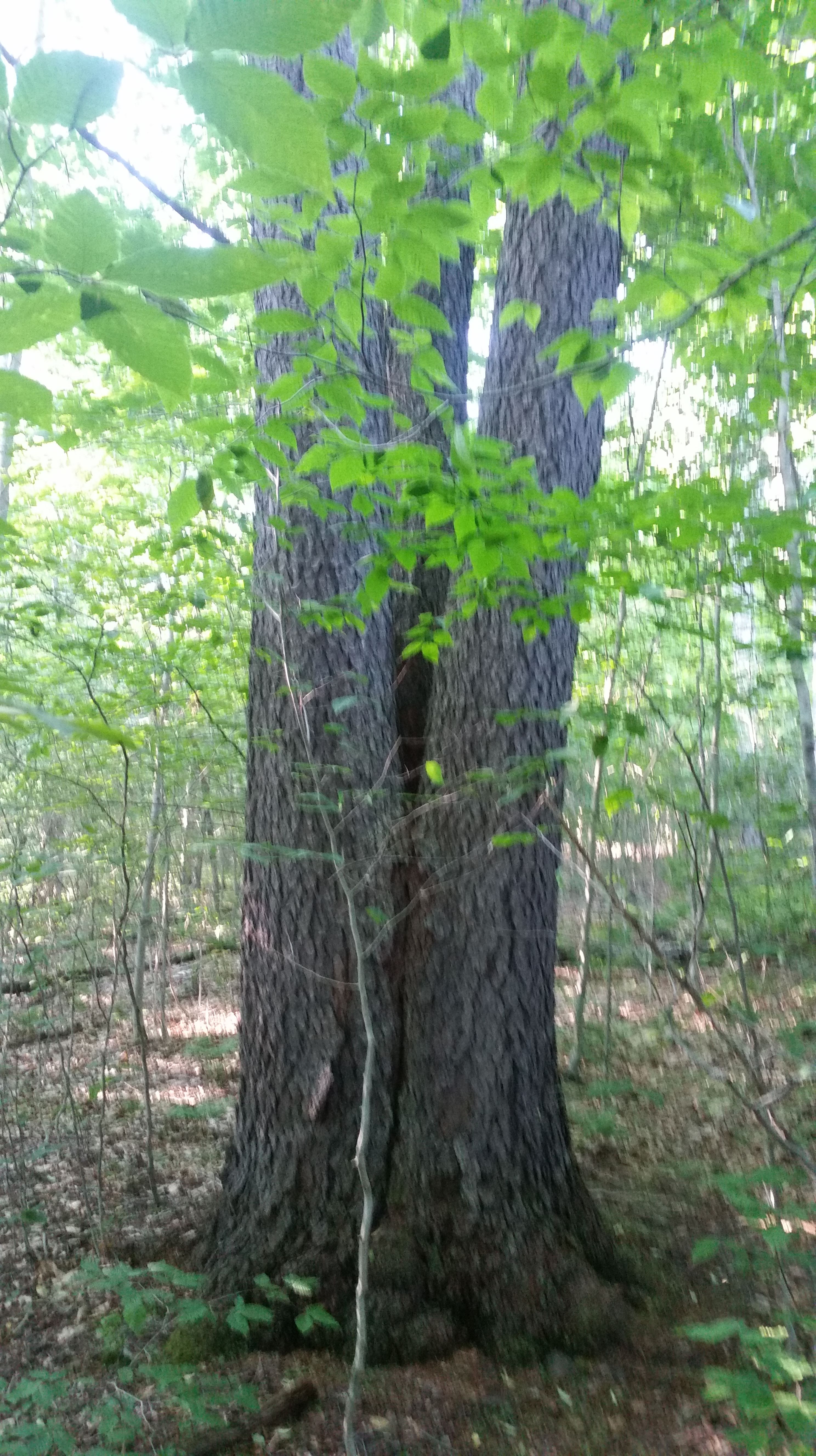 20180701_183527