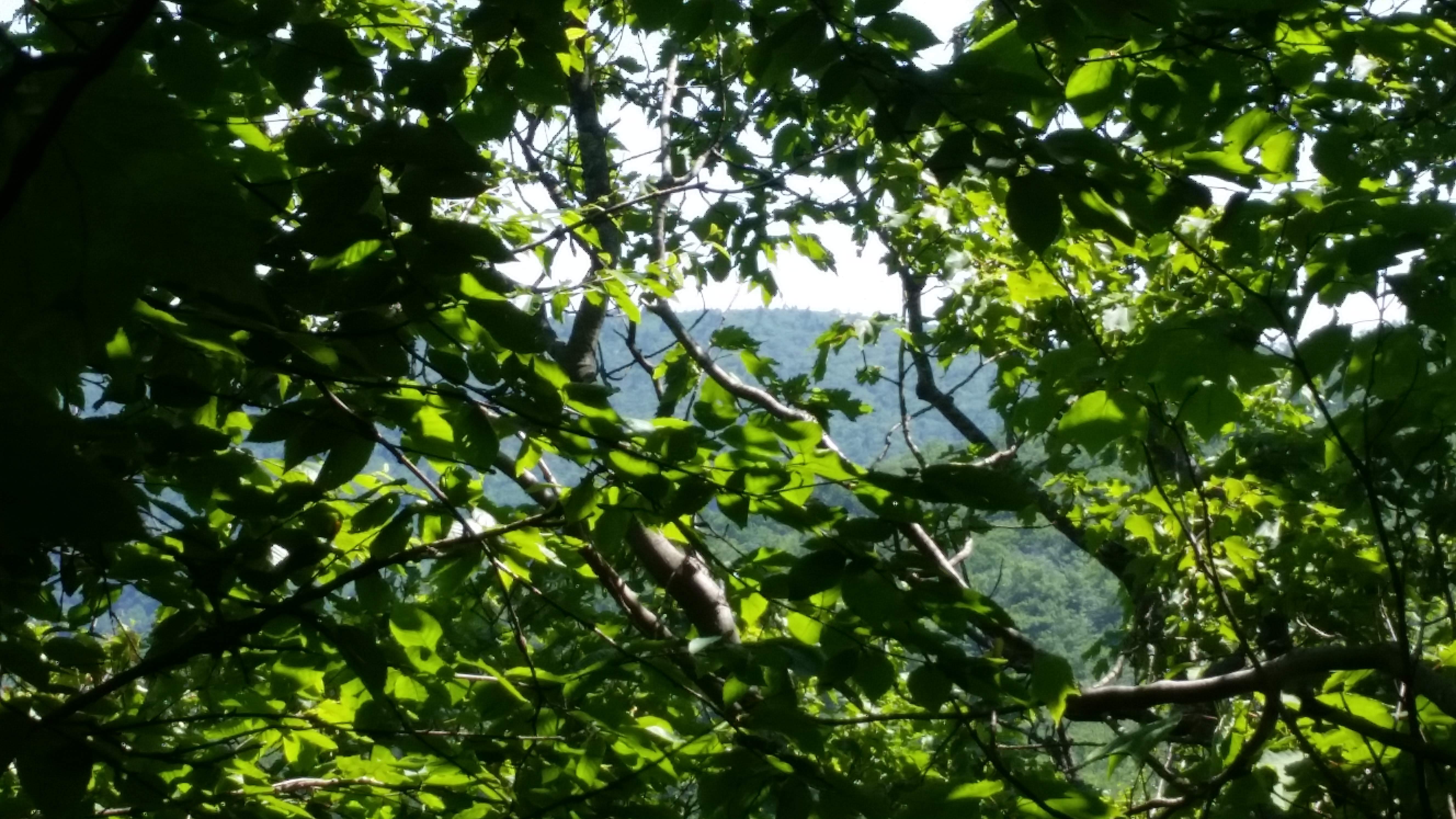 20180702_110706