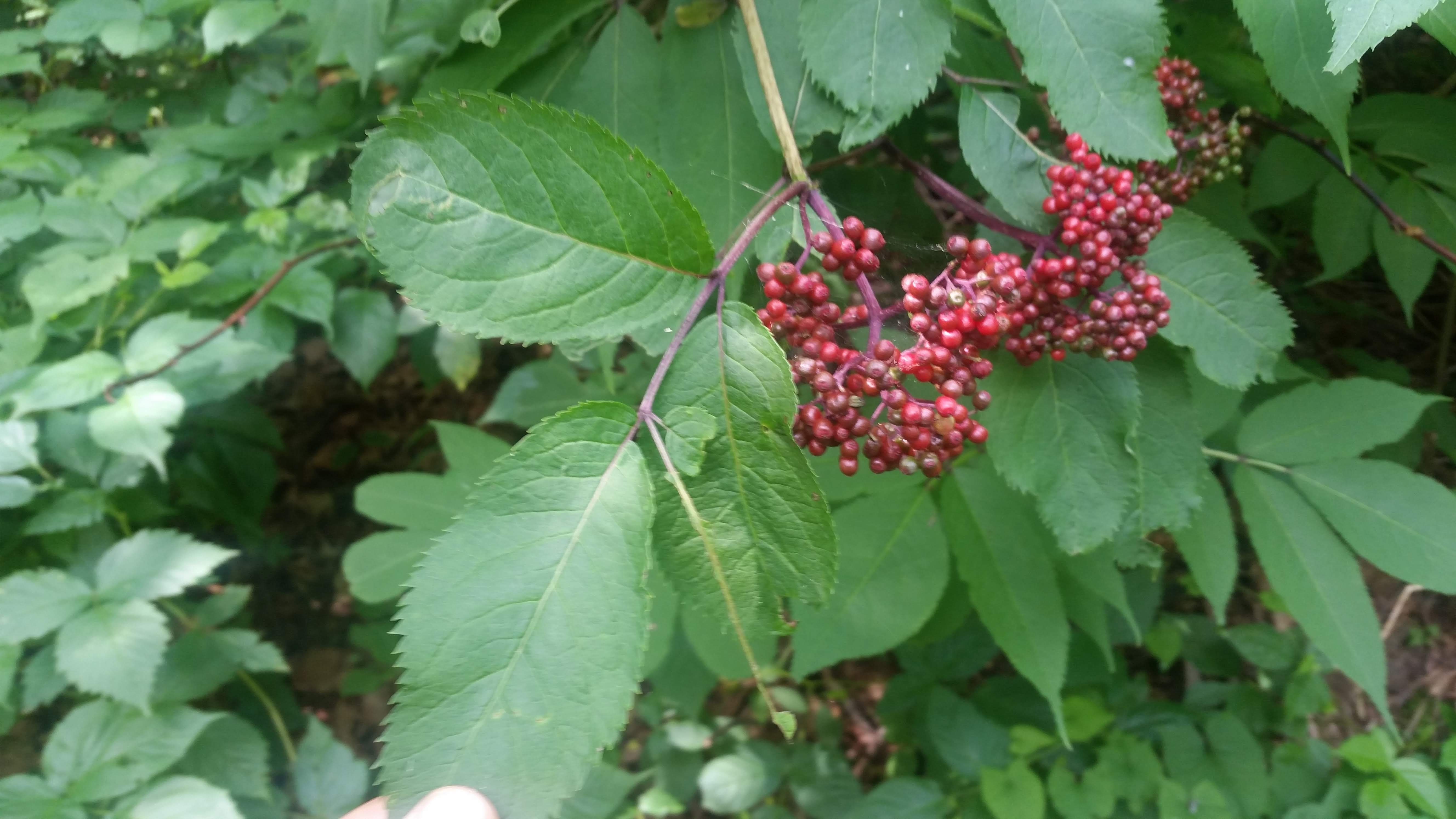 20180705_100118