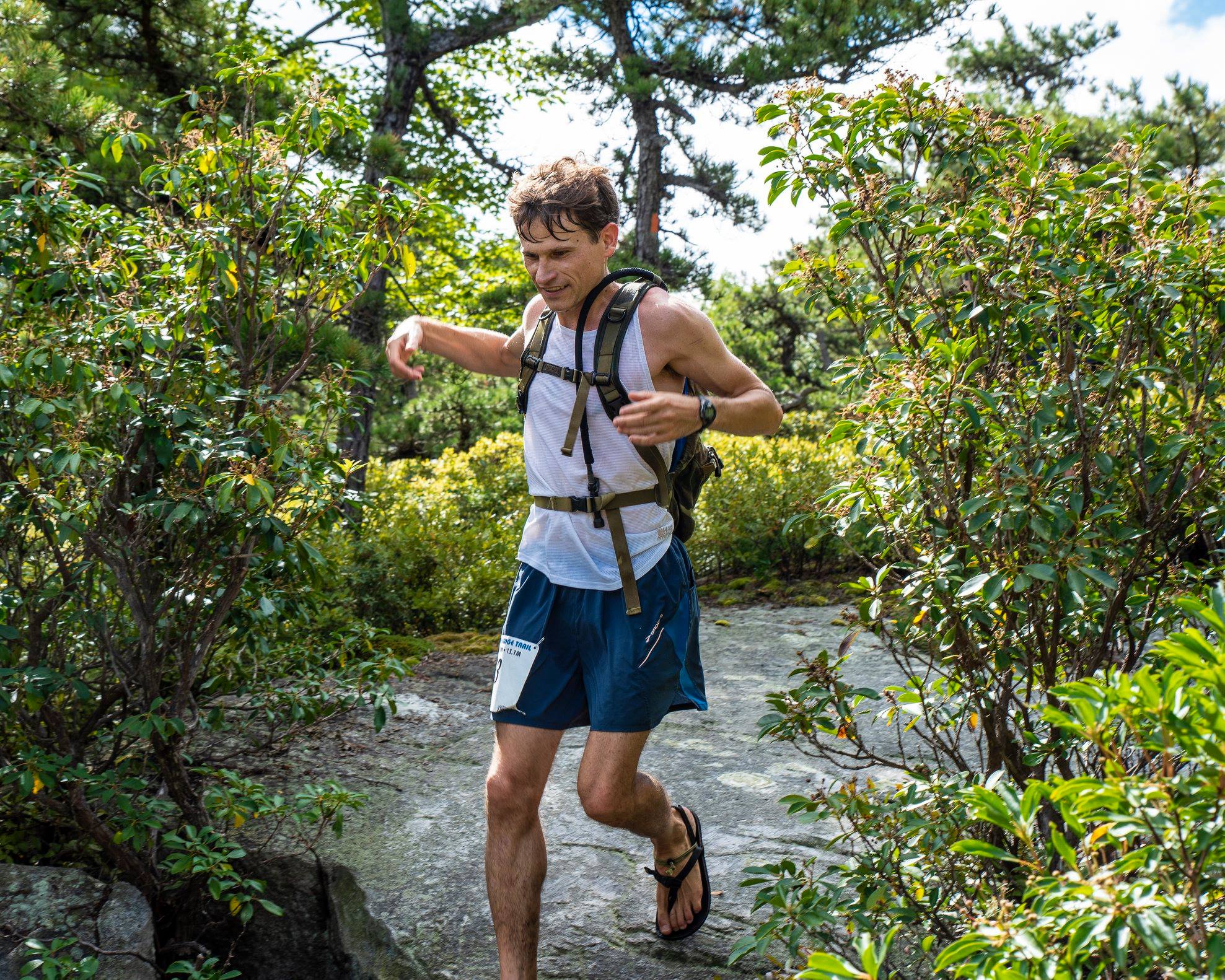 41936490_1477189099092461_4495287882105225216_o