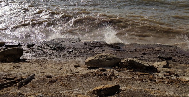 00000img_00000_burst20190119151402169_cover