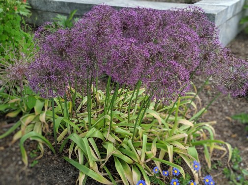 00100lportrait_00100_burst20190601091507296_cover