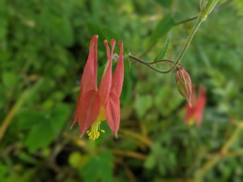 00100lportrait_00100_burst20190601091745968_cover