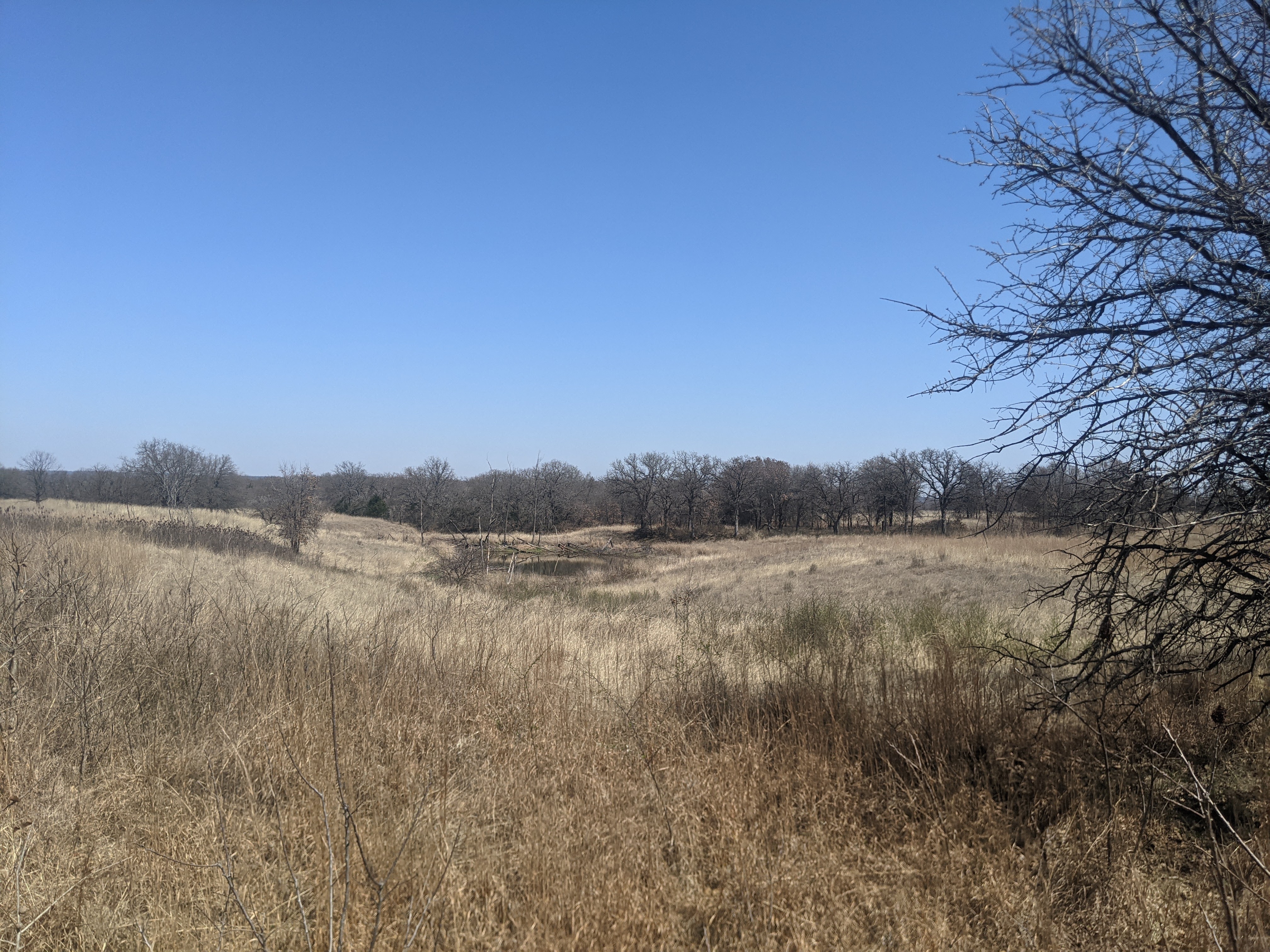 pxl_20210320_175933488