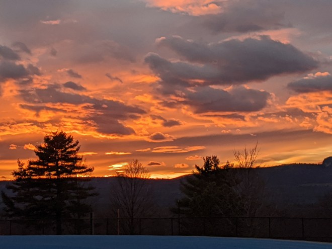 00000IMG_00000_BURST20200402192036908_COVER