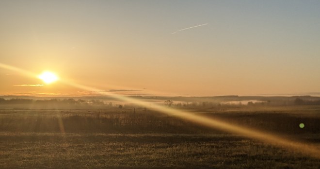 original_2fabf585-4474-4e1c-9925-45ad23161036_PXL_20210414_103655806