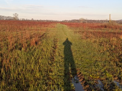 PXL_20210414_105344336