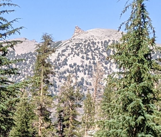 PXL_20210826_220101254 (1)