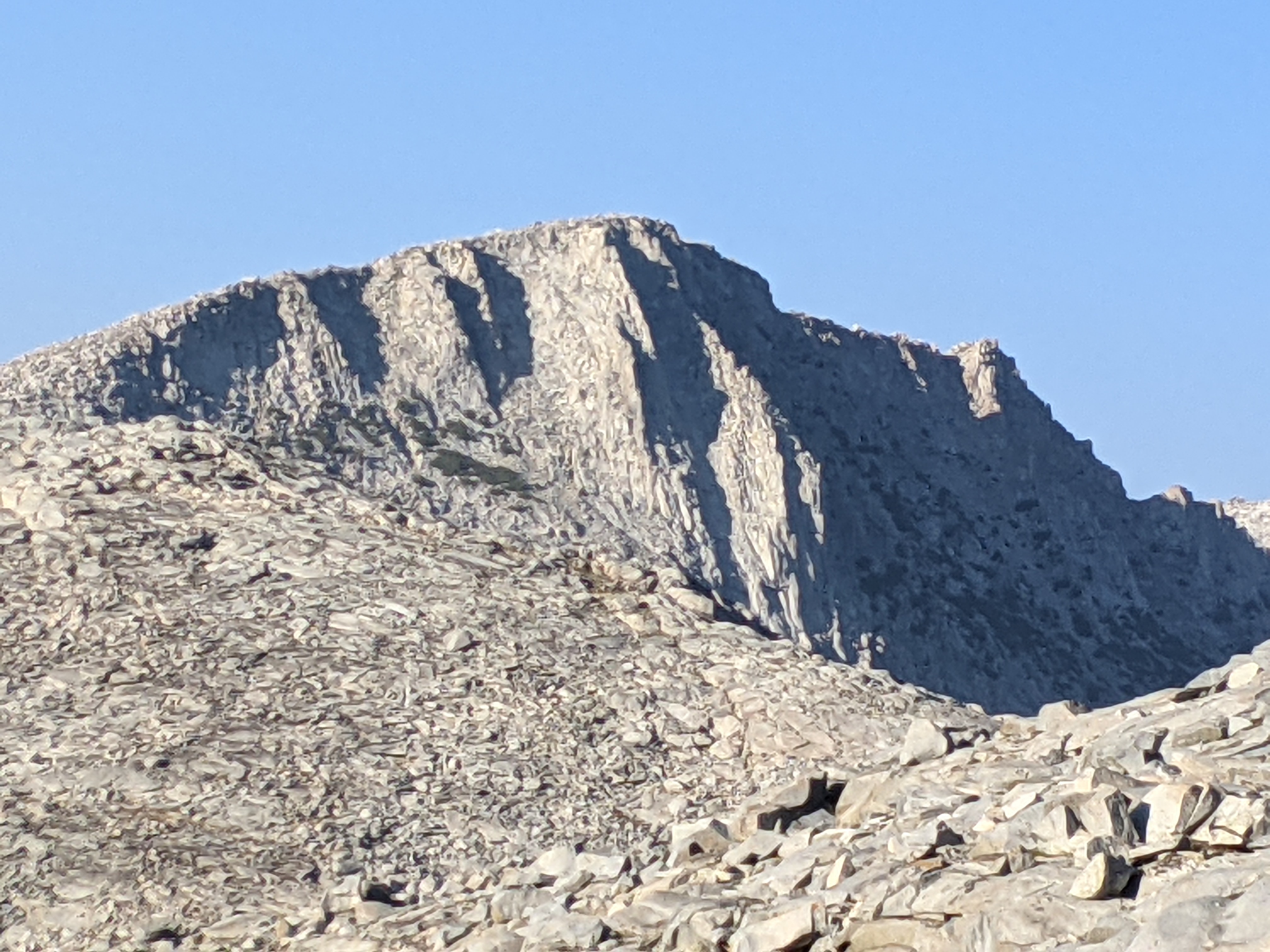 PXL_20210828_013219296