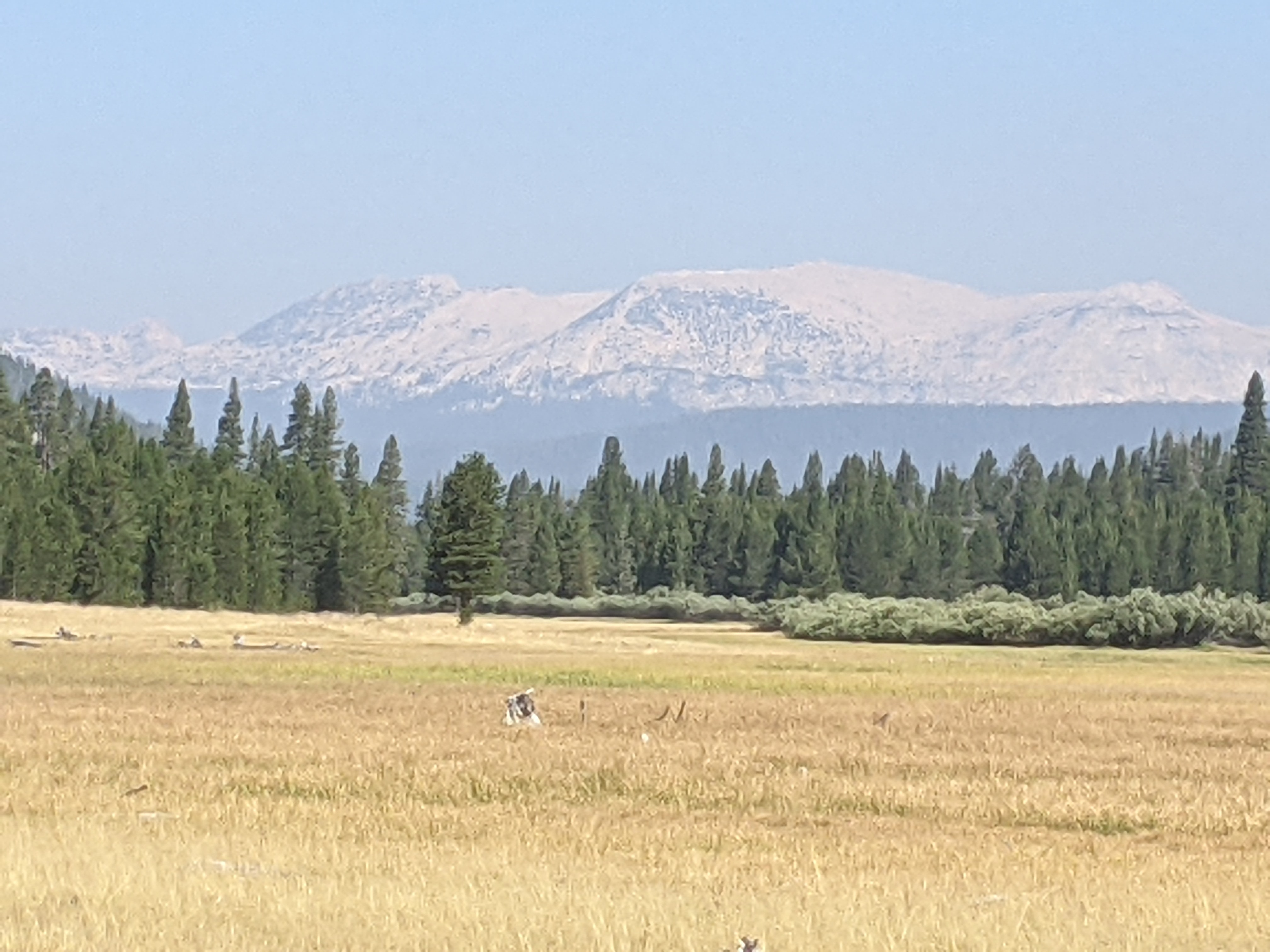 PXL_20210828_172124964