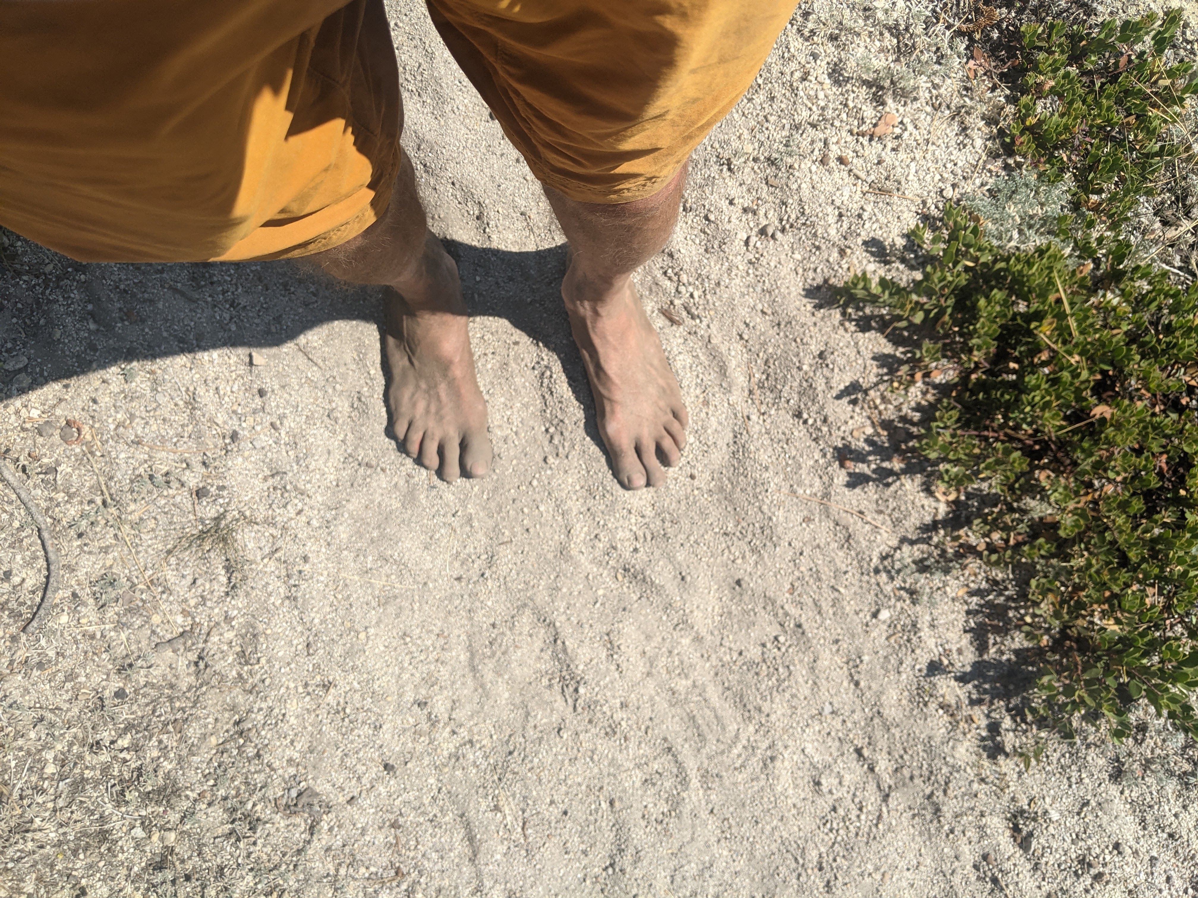 PXL_20210829_213119333