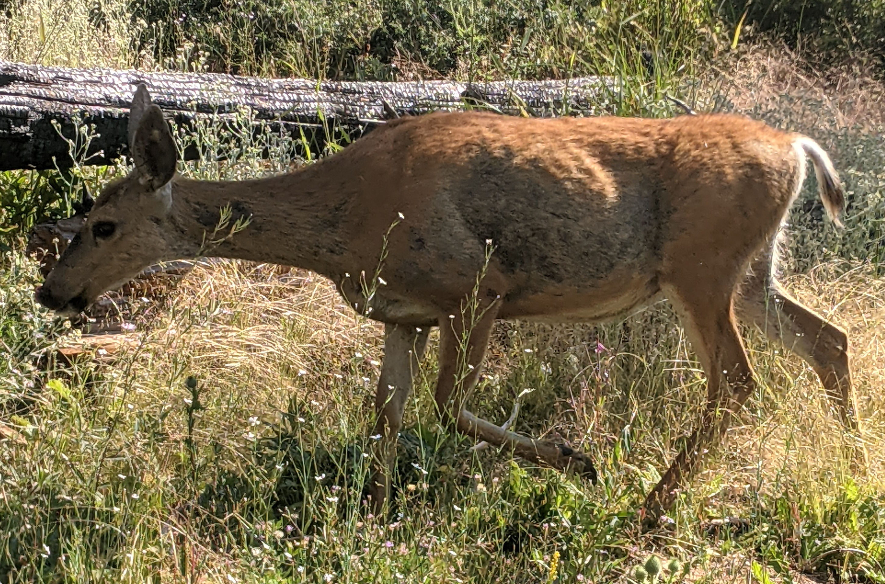 PXL_20210829_225617076