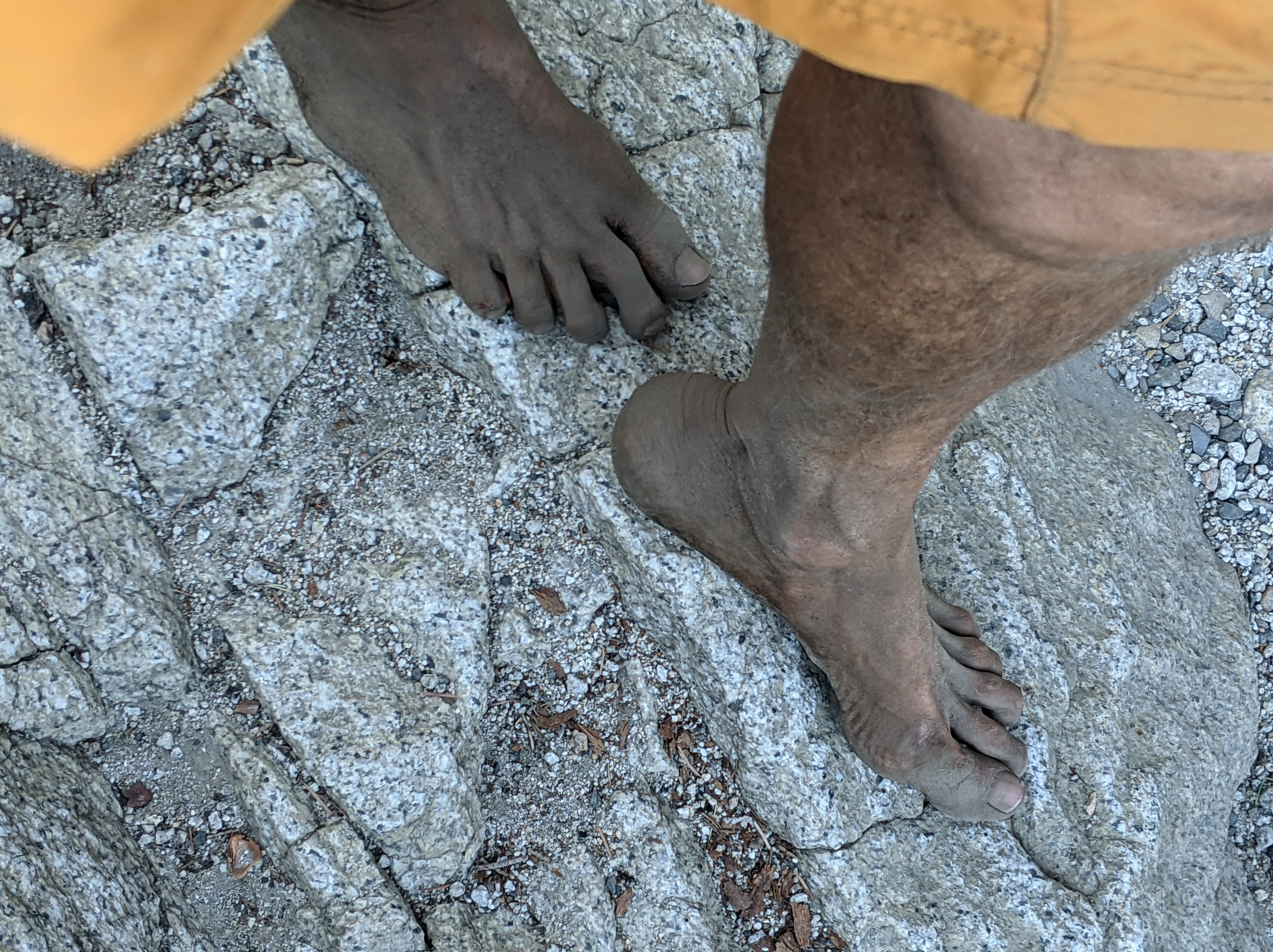 PXL_20210830_160318761