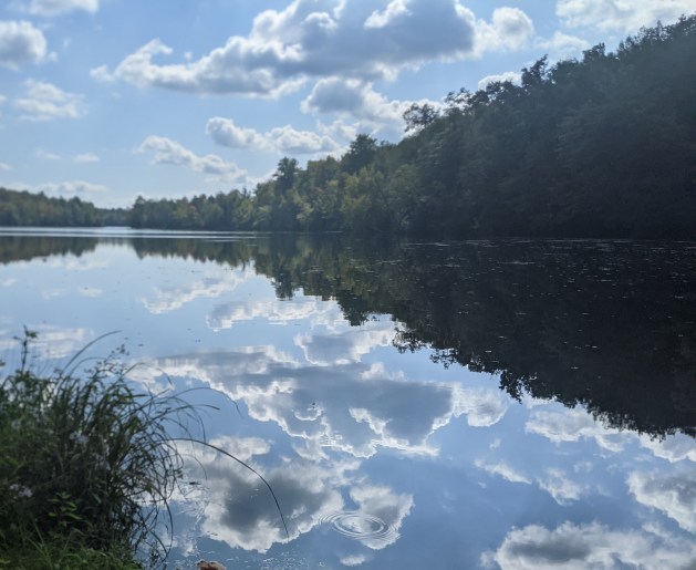 PXL_20210918_185921477