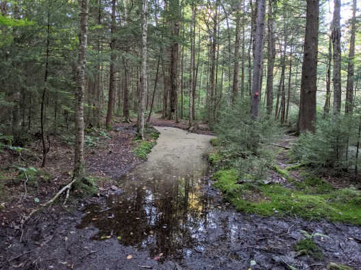 PXL_20210919_113225647