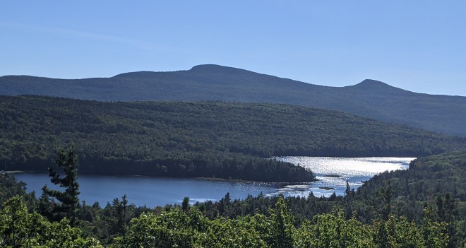 PXL_20210919_194559714