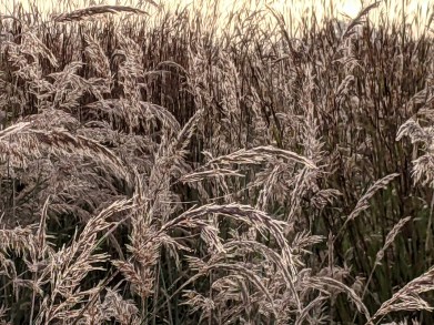 PXL_20210921_112308309