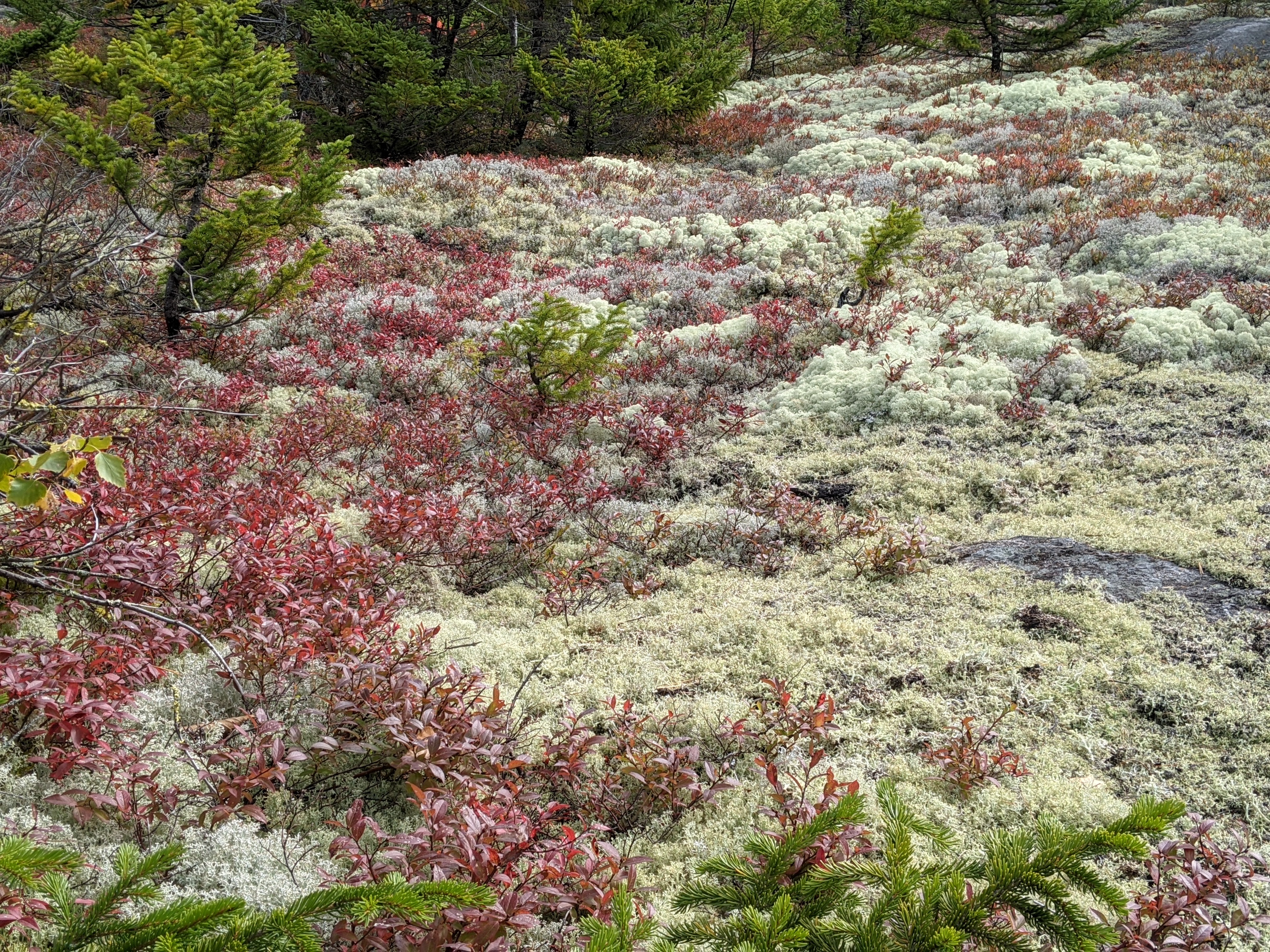 PXL_20211004_155025978