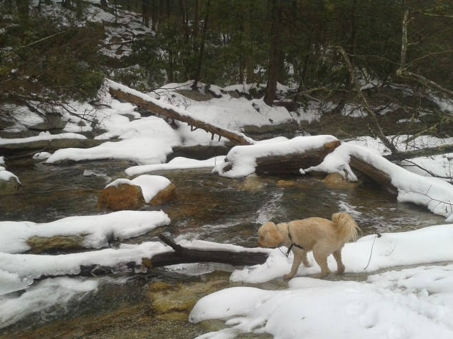 2013-01-12 11.06.06 (1)