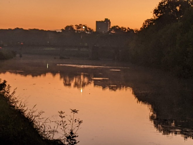 pxl_20221030_122112631