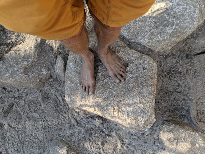 PXL_20210829_010655357 (1)