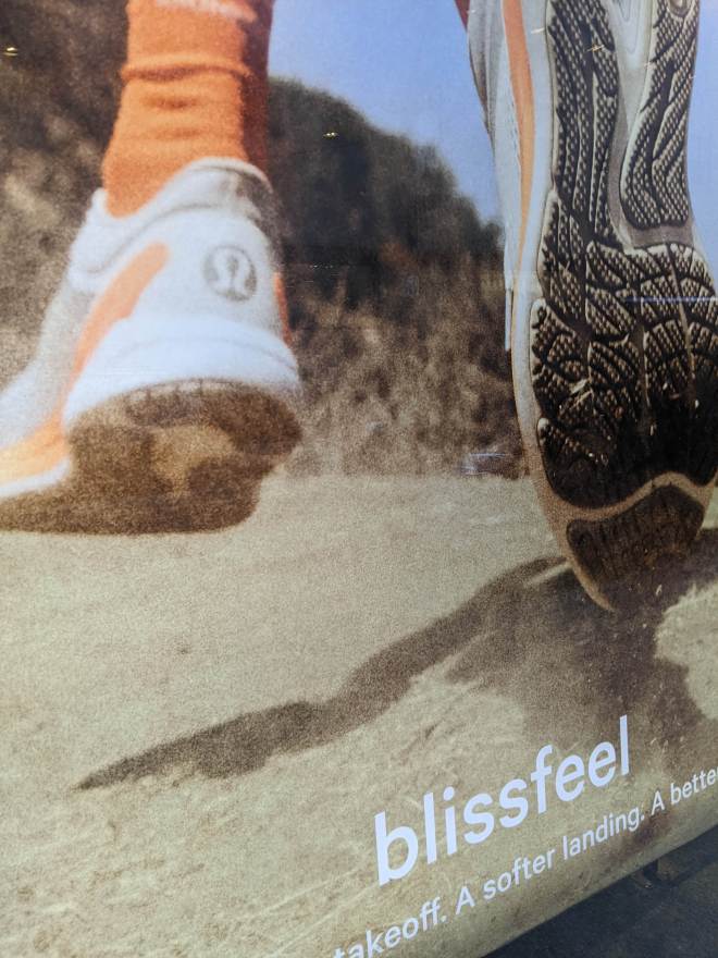 PXL_20221108_140901009 (1)