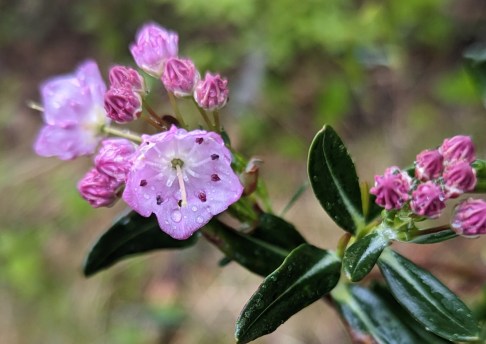 original_f09423af-59b3-451e-9a49-099cf23ac10a_PXL_20230605_163039731